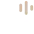 Protecting Phon Icon